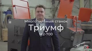 Двухвальный многопильный станок ТРИУМФ М2-700 — фото 3