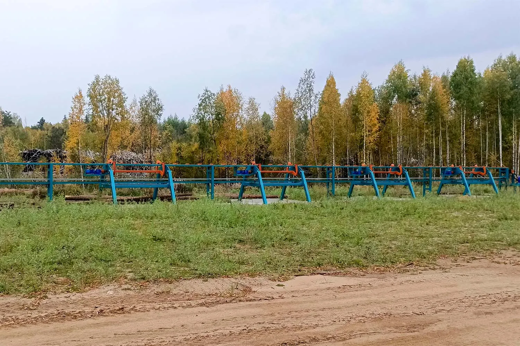 Линия сортировки с раскряжевкой бревна LSR 1250 — фото 17