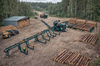 Дровокольно-сортировочная линия Cronver DRS 1250 — миниатюра 14