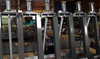 Прессы гидравлические для бруса IRONMAC Press 150/HM — миниатюра 2