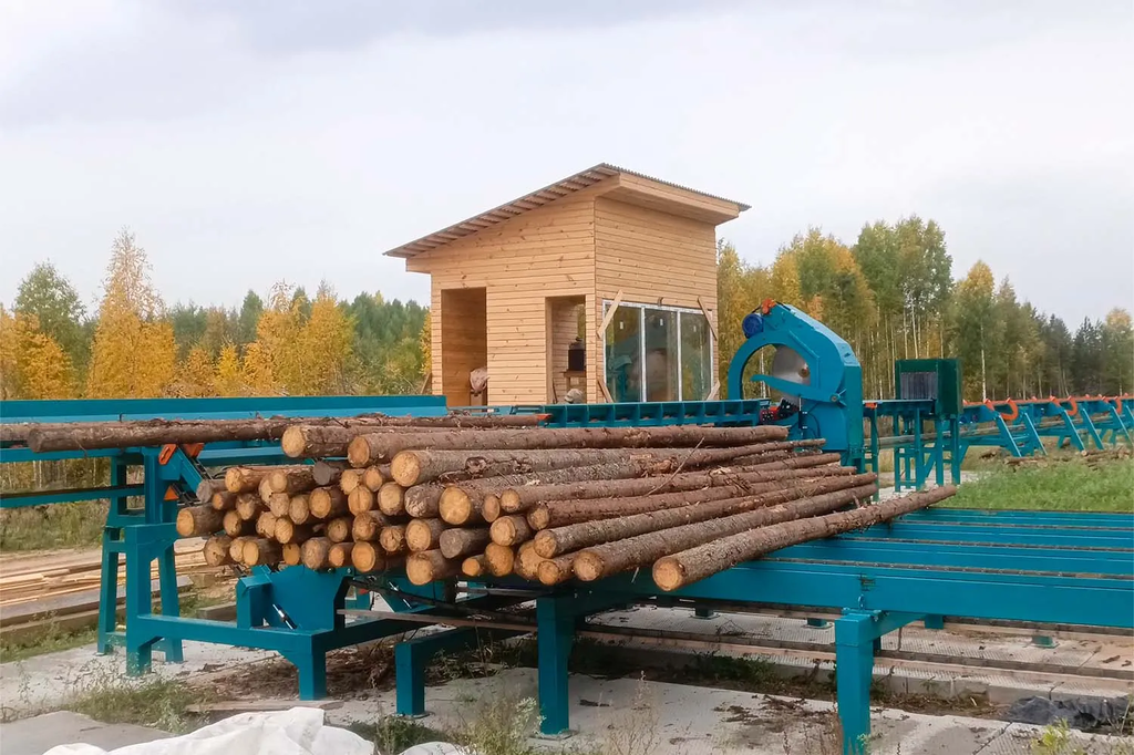 Линия сортировки с раскряжевкой бревна LSR 1250 — фото 11
