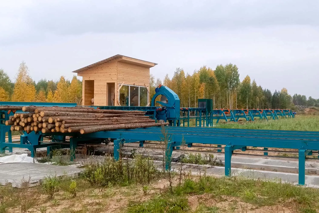 Линия сортировки с раскряжевкой бревна LSR 1250 — фото 10